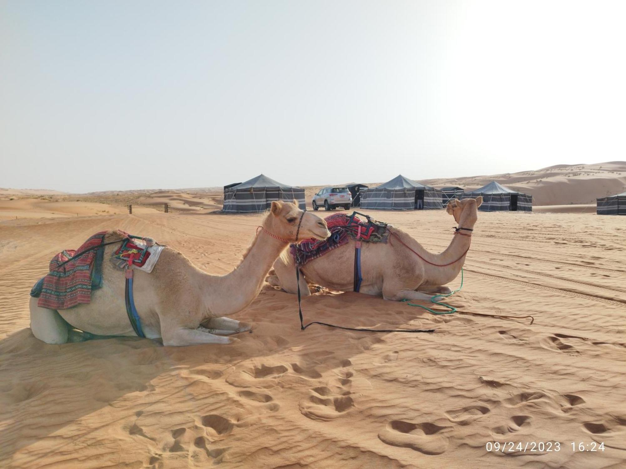 Sands Dream Tourism Camp Shāhiq Exterior foto