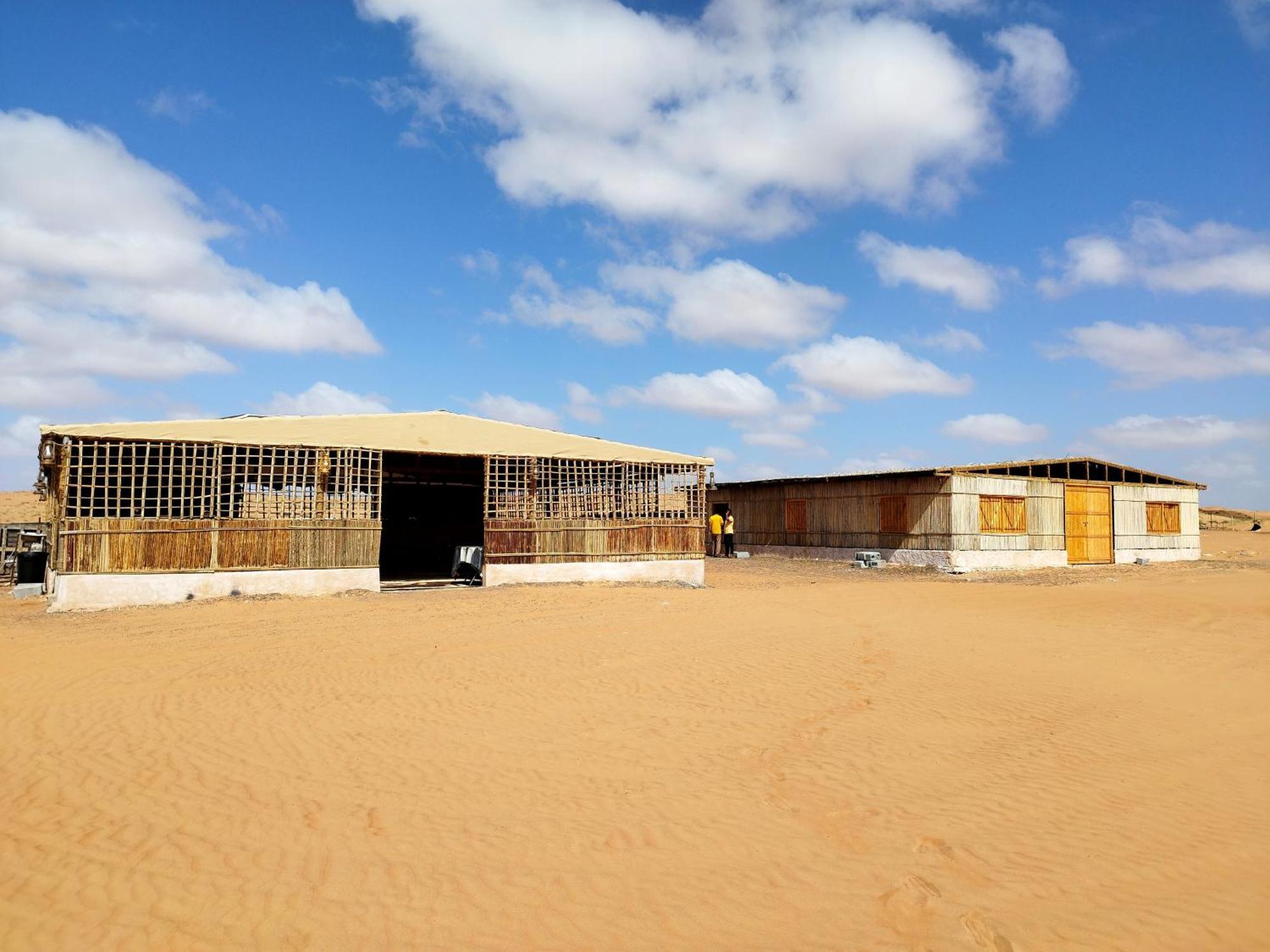 Sands Dream Tourism Camp Shāhiq Exterior foto